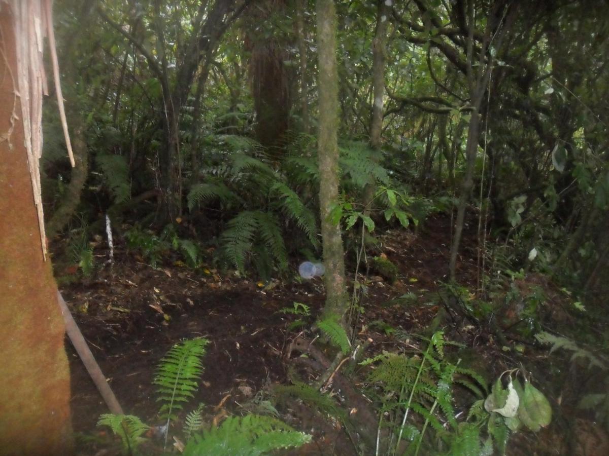 Villa Tui Glen Raurimu Esterno foto